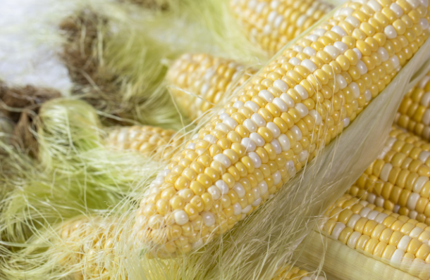 Can you eat corn silk.png